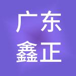 广东鑫正财税服务有限公司