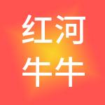 红河牛牛财税服务有限公司