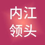 内江领头羊财税服务有限公司