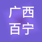 广西百宁财税服务有限公司