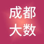 成都大数财税服务有限公司