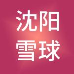 沈阳雪球财税服务有限公司