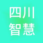 四川智慧军师财税服务有限公司