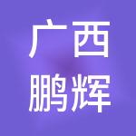 广西鹏辉财税服务有限公司