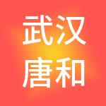 武汉唐和宋财税服务有限公司