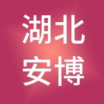 湖北安博财税服务有限公司