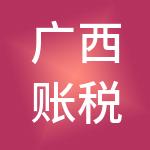 广西账税通财税服务有限公司