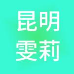 昆明雯莉琳财税服务有限公司