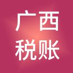广西税账通财税服务有限公司
