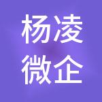杨凌微企云企业管理有限公司