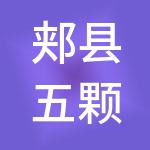 郏县五颗星财税服务有限公司