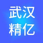 武汉精亿高企财税服务有限公司