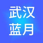 武汉蓝月谷财税服务有限公司
