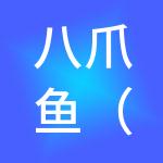 八爪鱼（宁波）财税服务有限公司