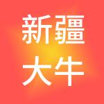 新疆大牛财税服务有限责任公司