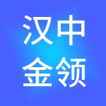 汉中金领向财税服务有限公司
