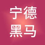 宁德黑马财税服务有限公司