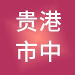 贵港市中恒财税服务有限公司