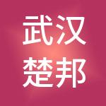 武汉楚邦达财税服务有限公司
