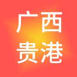 广西贵港市鸿沣财税服务有限公司
