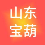 山东宝葫芦财税服务有限公司
