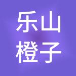 乐山橙子财税服务有限公司