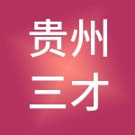 贵州三才子财税服务有限公司