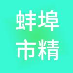 蚌埠市精算财税服务有限公司