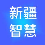 新疆智慧源财税服务有限责任公司