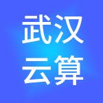 武汉云算盘财税服务有限责任公司