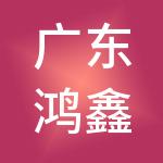 广东鸿鑫财税服务有限公司