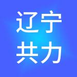 辽宁共力财税服务有限公司
