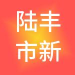 陆丰市新盛东财税服务有限公司