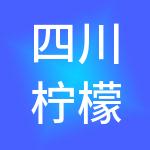 四川柠檬树财税服务有限公司