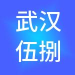 武汉伍捌财税服务有限公司