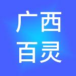 广西百灵财税服务集团有限公司