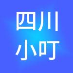 四川小叮当财务咨询有限公司