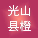 光山县橙子财税服务有限公司