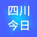 四川今日成财税服务有限公司