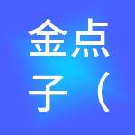 金点子（山西）财税服务有限公司