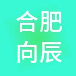 合肥向辰财税服务有限公司