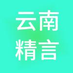 云南精言财税服务有限公司
