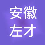 安徽左才右财财税服务有限公司