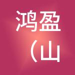 鸿盈（山东）财税服务有限公司