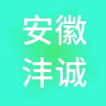安徽沣诚财税服务有限公司