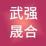 武强晟合财税服务有限公司