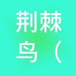 荆棘鸟（深圳）财税服务有限公司
