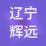 辽宁辉远财税服务有限公司