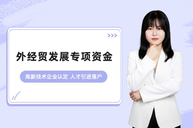 外经贸发展专项资金