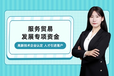 服务贸易发展专项资金